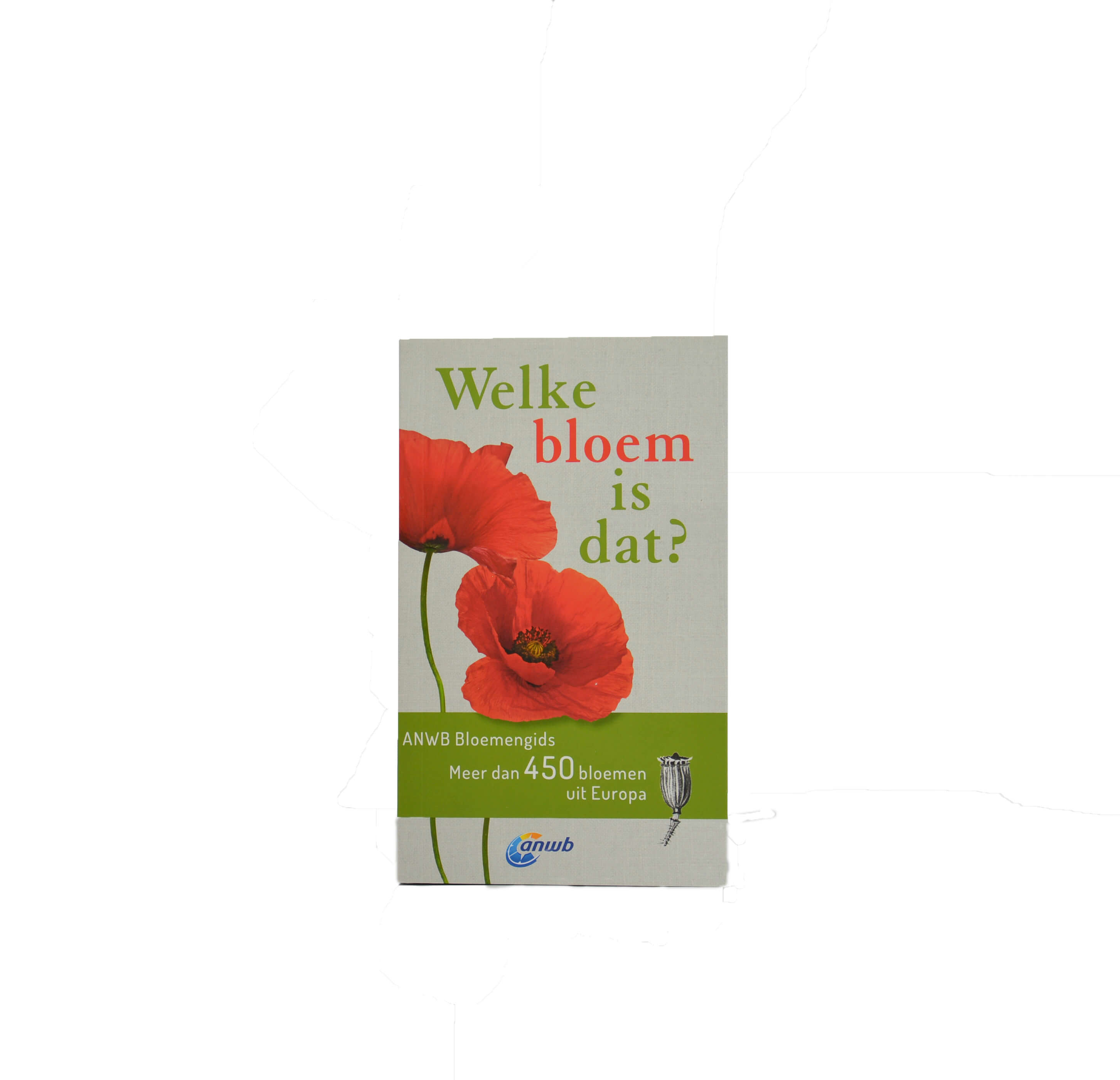 Welke bloem is dat? Bezoekerscentrum NunspeetVeluwe